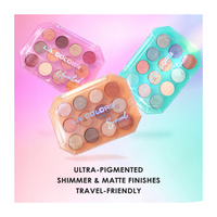 12 Color Eyeshadow Palette