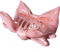 Bow Claw Clips