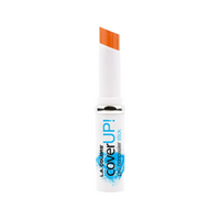 Pro Concealer Cover Up