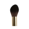 Pro Brush Tapered Brush