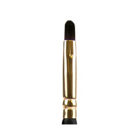 Lip Brush