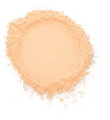 Pro Setting Brightening Loose Setting Powder