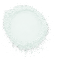 Pro Setting Brightening Loose Setting Powder