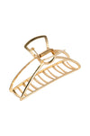 Gold Clips