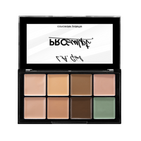 Pro Sculpt Concealer Palette