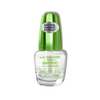 Bamboo Nail Hardener Promoción