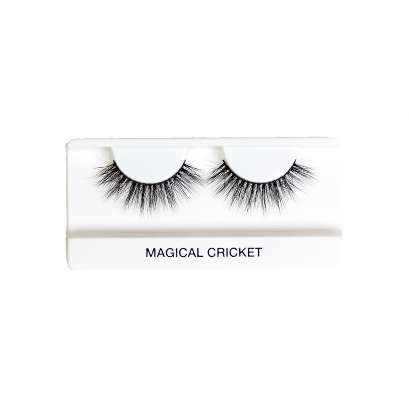 MAGICAL CRICKET